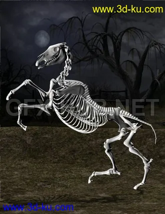 3D打印模型Skeleton Horse Poses的图片