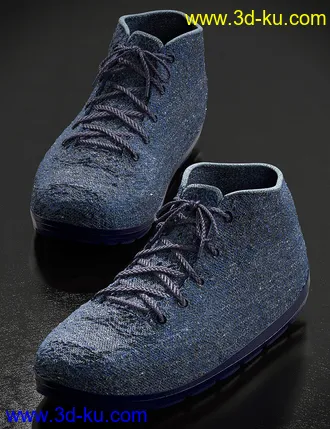 3D打印模型Sneaker Selection for Genesis 8 Male and Michael 8.1的图片