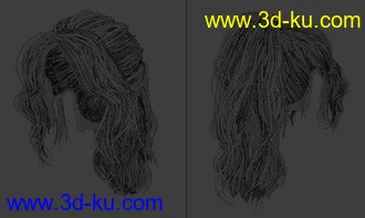 3D打印模型SP Hair 014 for Genesis 3 and 8 Female的图片