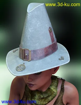 3D打印模型Steam Punk Hats for Genesis 8的图片