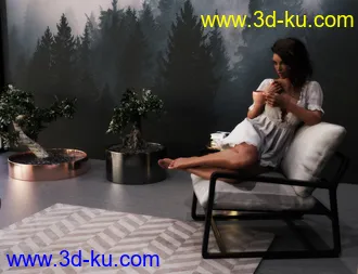 3D打印模型Stylish Bedroom的图片