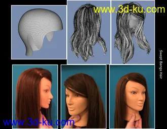 Swept Bangs Hair for Genesis 3 and 8 Females模型的图片24