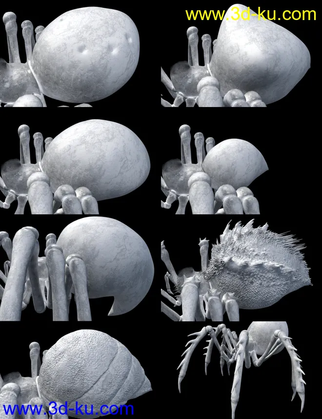 SY Spiderfolk for Genesis 8模型的图片8