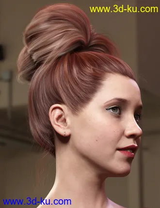 3D打印模型Texture Expansion for Top Updo Hair的图片