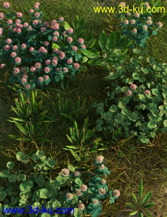3D打印模型The (Im)Perfect Lawn II- Essential Grassland Weeds的图片