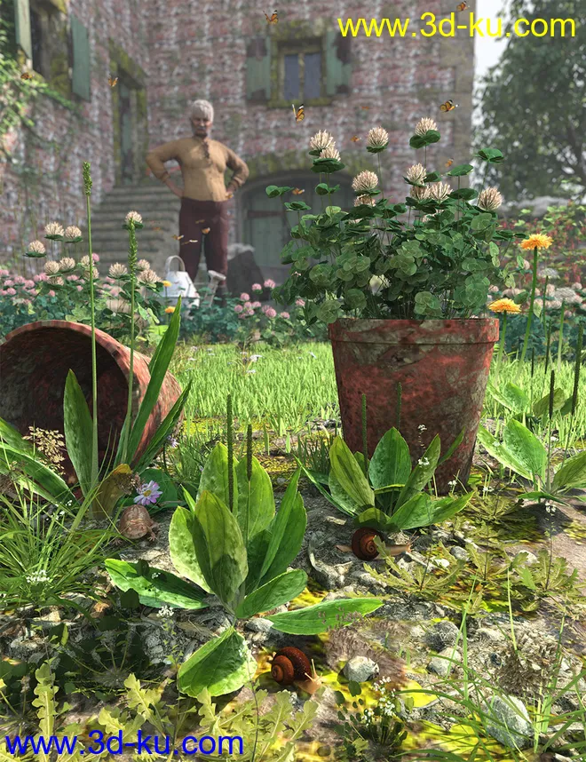 The (Im)Perfect Lawn II- Essential Grassland Weeds模型的图片2