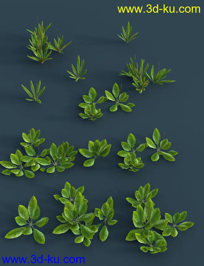 The (Im)Perfect Lawn II- Essential Grassland Weeds模型的图片4