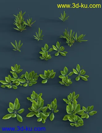 3D打印模型The (Im)Perfect Lawn II- Essential Grassland Weeds的图片
