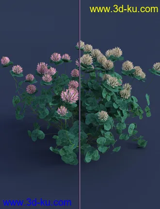 3D打印模型The (Im)Perfect Lawn II- Essential Grassland Weeds的图片