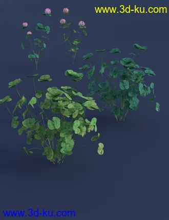 3D打印模型The (Im)Perfect Lawn II- Essential Grassland Weeds的图片
