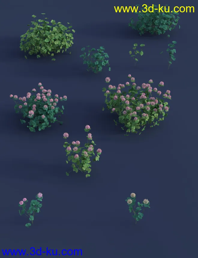 The (Im)Perfect Lawn II- Essential Grassland Weeds模型的图片8