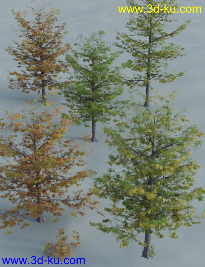 The Greenwood Vol 2 - Ash Trees模型的图片4