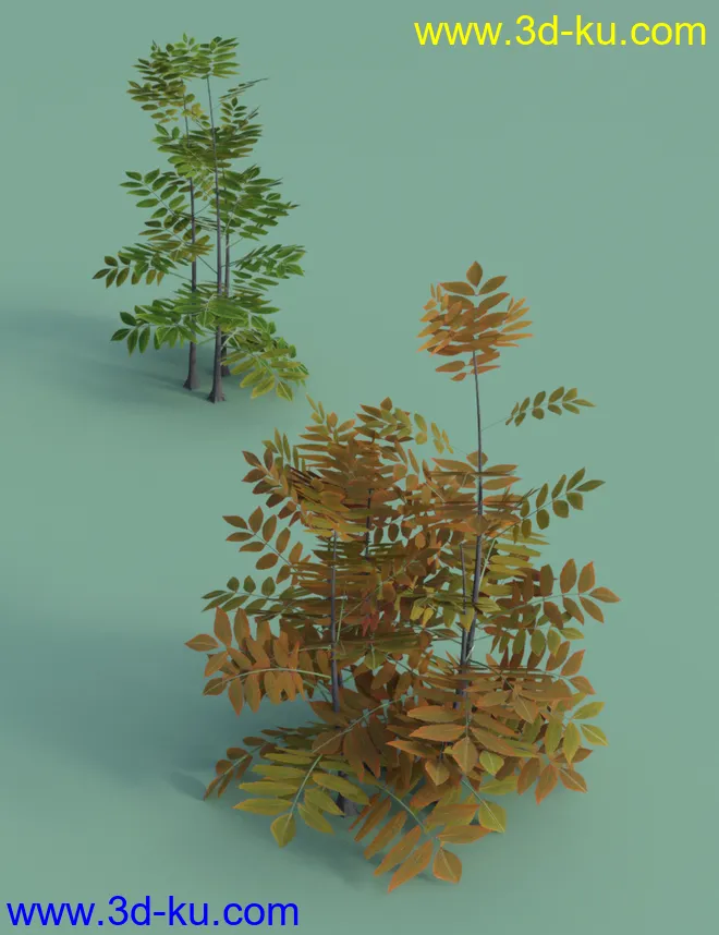 The Greenwood Vol 2 - Ash Trees模型的图片6