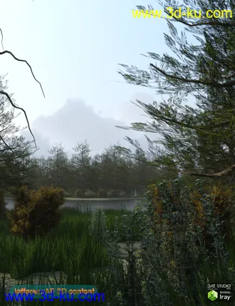 3D打印模型The Lake Forest的图片