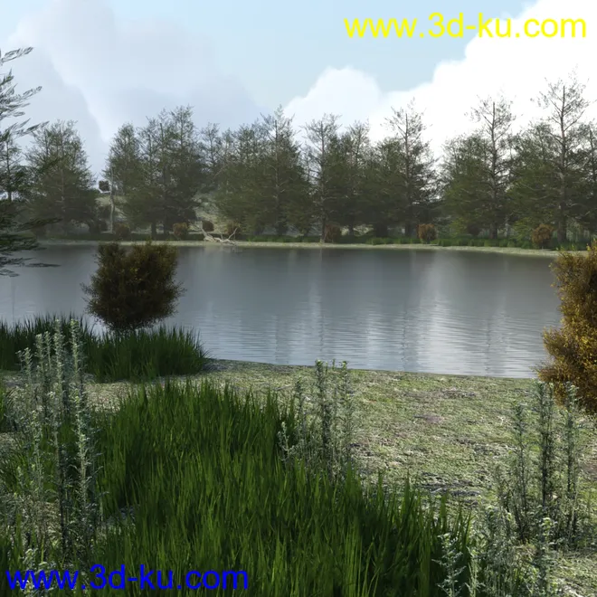 The Lake Forest模型的图片3