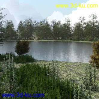 3D打印模型The Lake Forest的图片