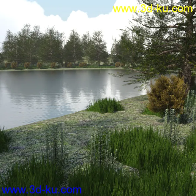 The Lake Forest模型的图片4