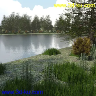 3D打印模型The Lake Forest的图片