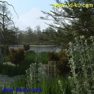 3D打印模型The Lake Forest的图片