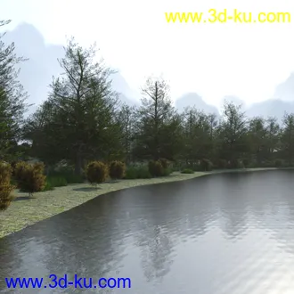 3D打印模型The Lake Forest的图片