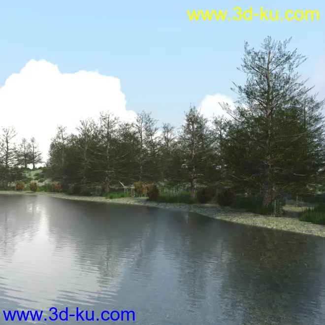 The Lake Forest模型的图片7