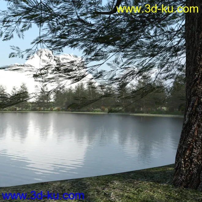 The Lake Forest模型的图片8