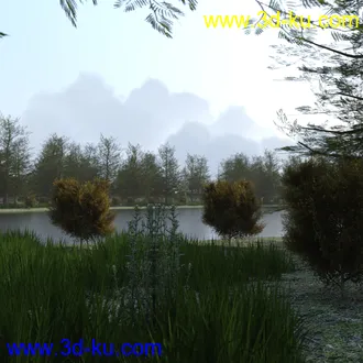 3D打印模型The Lake Forest的图片