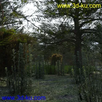 3D打印模型The Lake Forest的图片