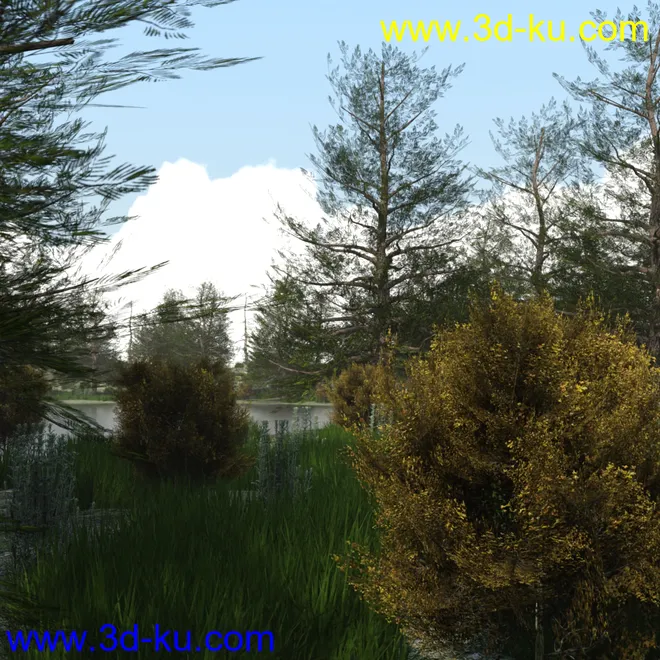 The Lake Forest模型的图片11