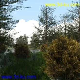 3D打印模型The Lake Forest的图片