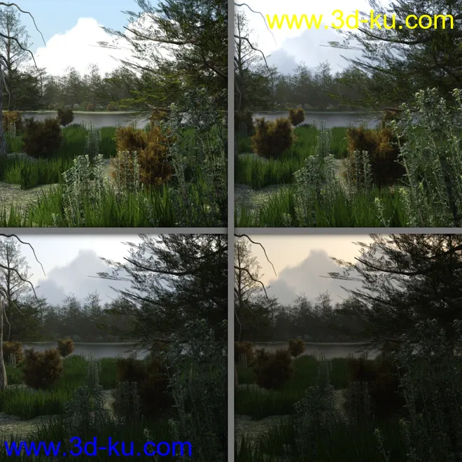 The Lake Forest模型的图片13