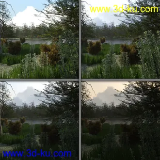3D打印模型The Lake Forest的图片