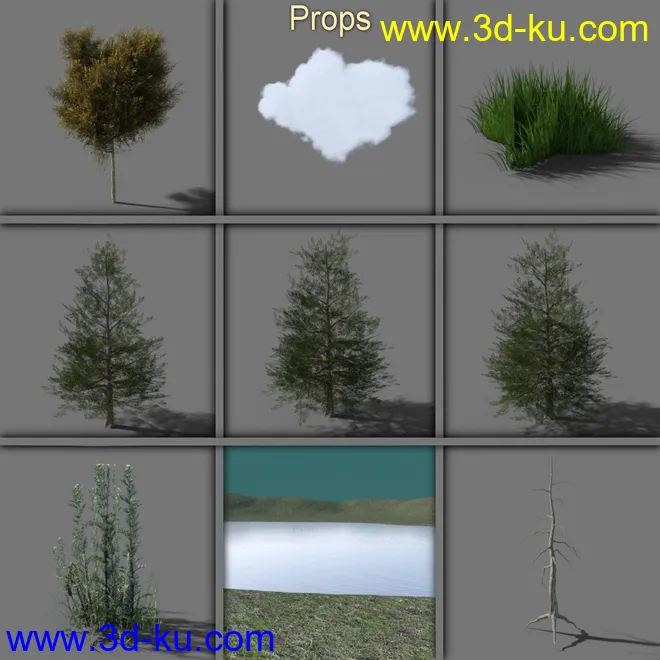 The Lake Forest模型的图片14