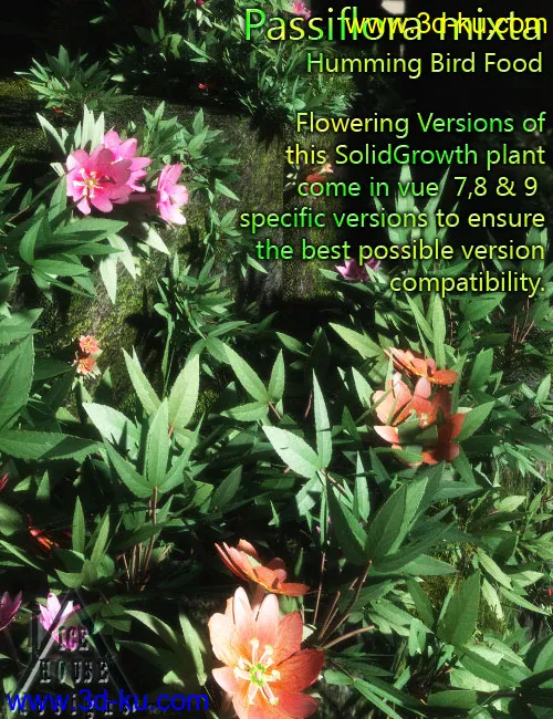 The Pink Passion Flower - hummingbird food!模型的图片1
