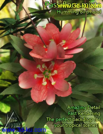 3D打印模型The Pink Passion Flower - hummingbird food!的图片