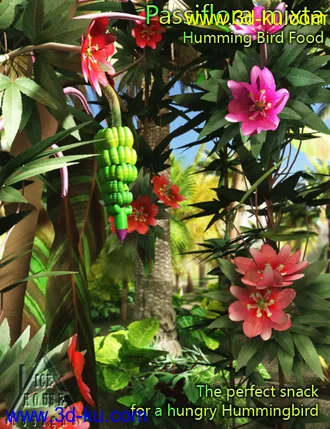 3D打印模型The Pink Passion Flower - hummingbird food!的图片