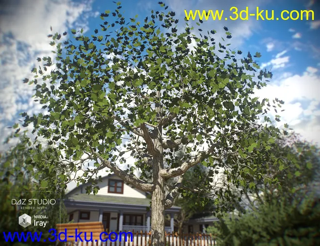 The Tire Swing模型的图片4