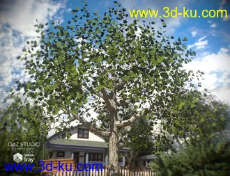 3D打印模型The Tire Swing的图片