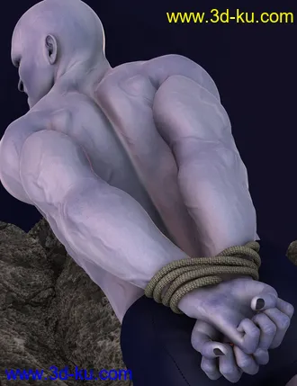 3D打印模型Tied Up! 2 For Genesis 2的图片