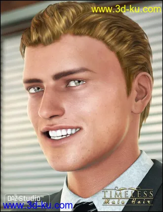 3D打印模型Timeless Male Hair的图片