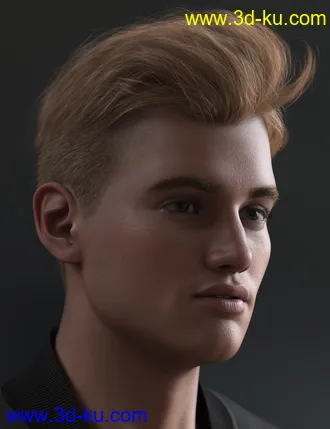 3D打印模型Tjark Short Hair for Genesis 8 and 8.1 Males的图片