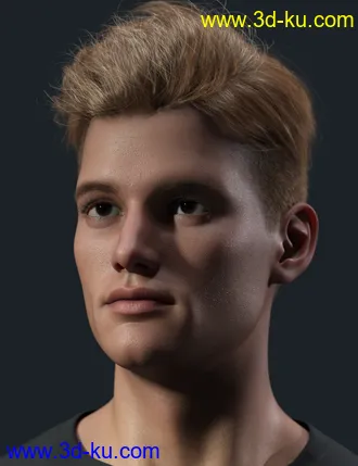 3D打印模型Tjark Short Hair for Genesis 8 and 8.1 Males的图片