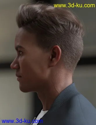 3D打印模型Tjark Short Hair for Genesis 8 and 8.1 Males的图片