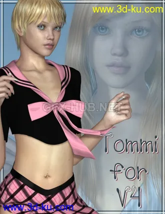 3D打印模型Tommi for V4的图片