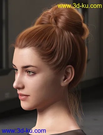 3D打印模型Top Updo for Genesis 3, 8, and 8.1 Females的图片