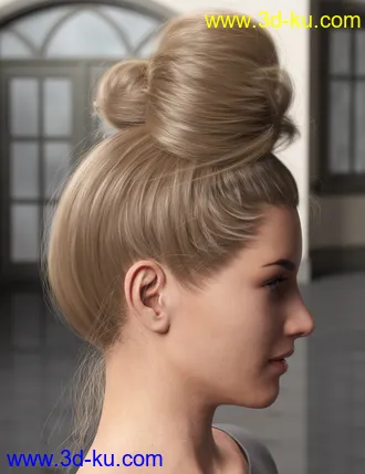 3D打印模型Top Updo for Genesis 3, 8, and 8.1 Females的图片