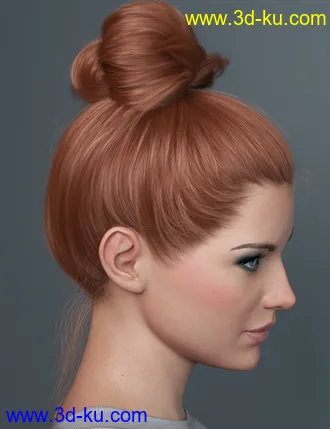 3D打印模型Top Updo for Genesis 3, 8, and 8.1 Females的图片