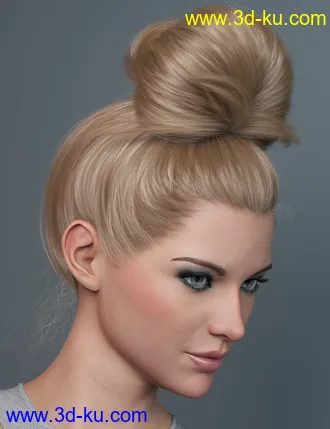3D打印模型Top Updo for Genesis 3, 8, and 8.1 Females的图片