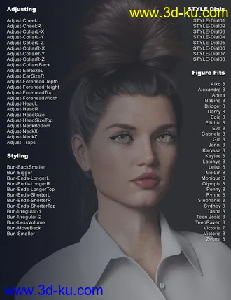 3D打印模型Top Updo for Genesis 3, 8, and 8.1 Females的图片