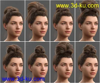 3D打印模型Top Updo for Genesis 3, 8, and 8.1 Females的图片
